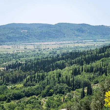 Villa Oliva - Two Bedroom With Terrace And Swimming Pool Gruda