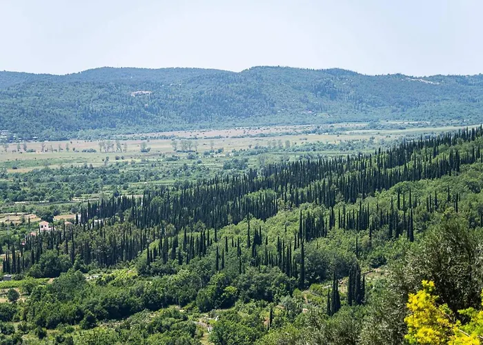 Villa Oliva - Two Bedroom With Terrace And Swimming Pool Gruda